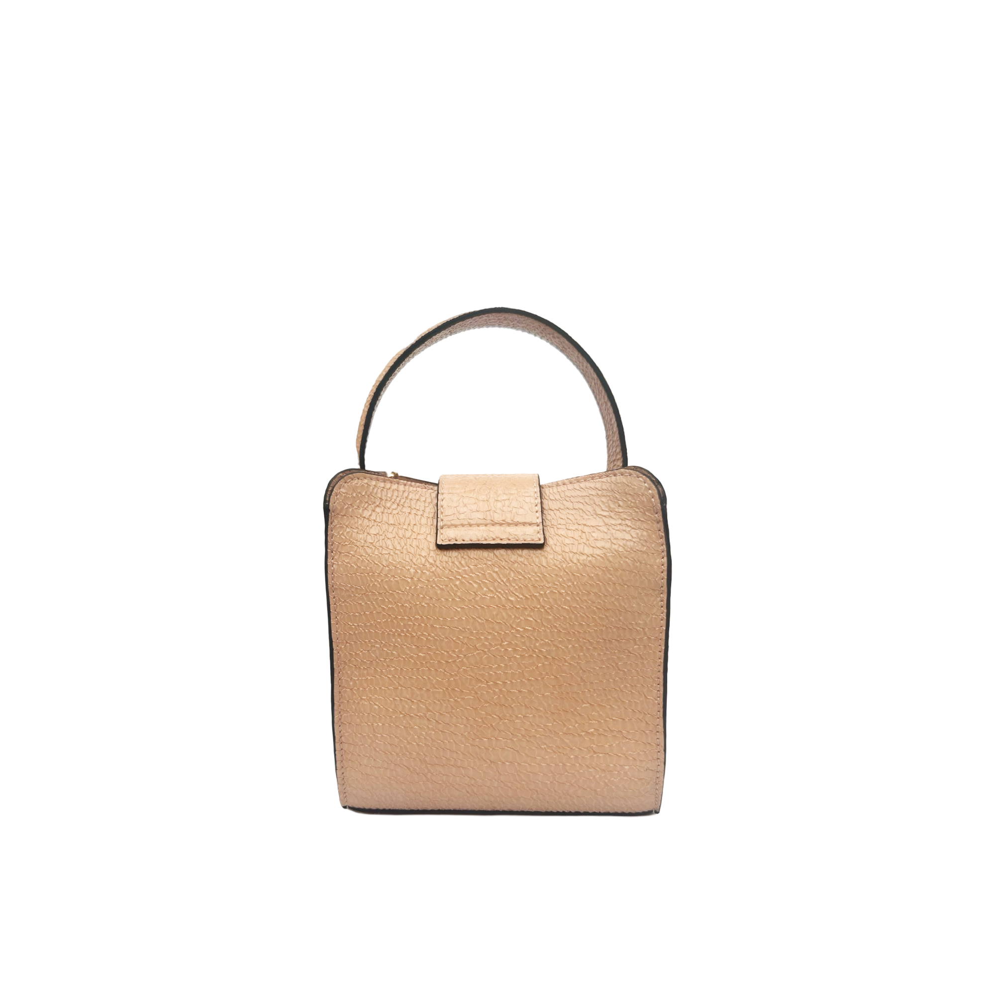 Mini Bag in goatskin with patent finish