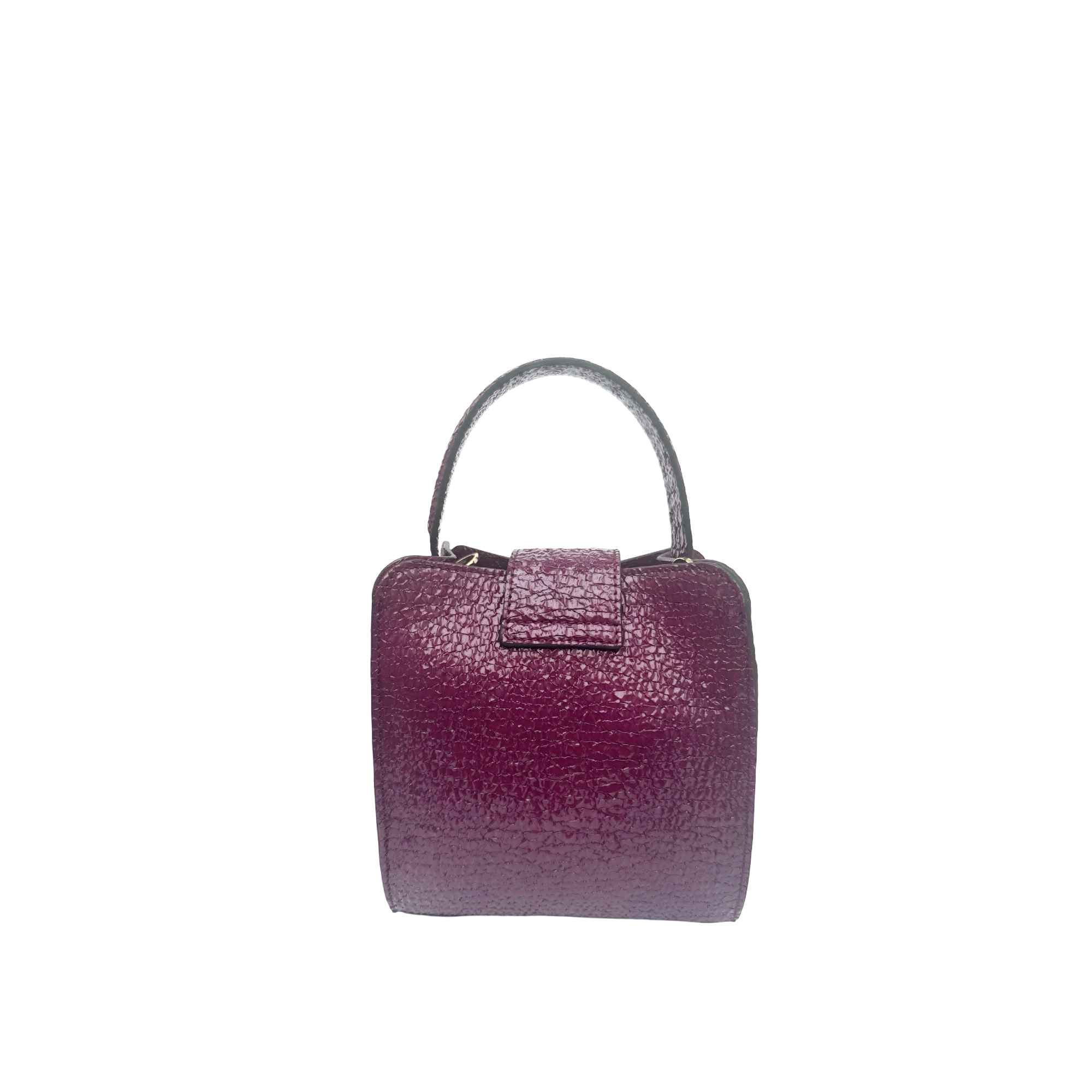 Mini Bag in goatskin with patent finish