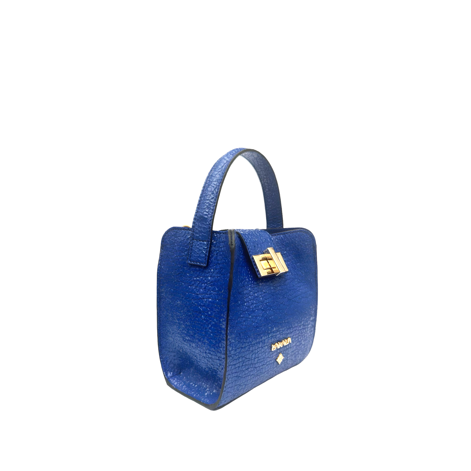 Mini Bag in goatskin with patent finish