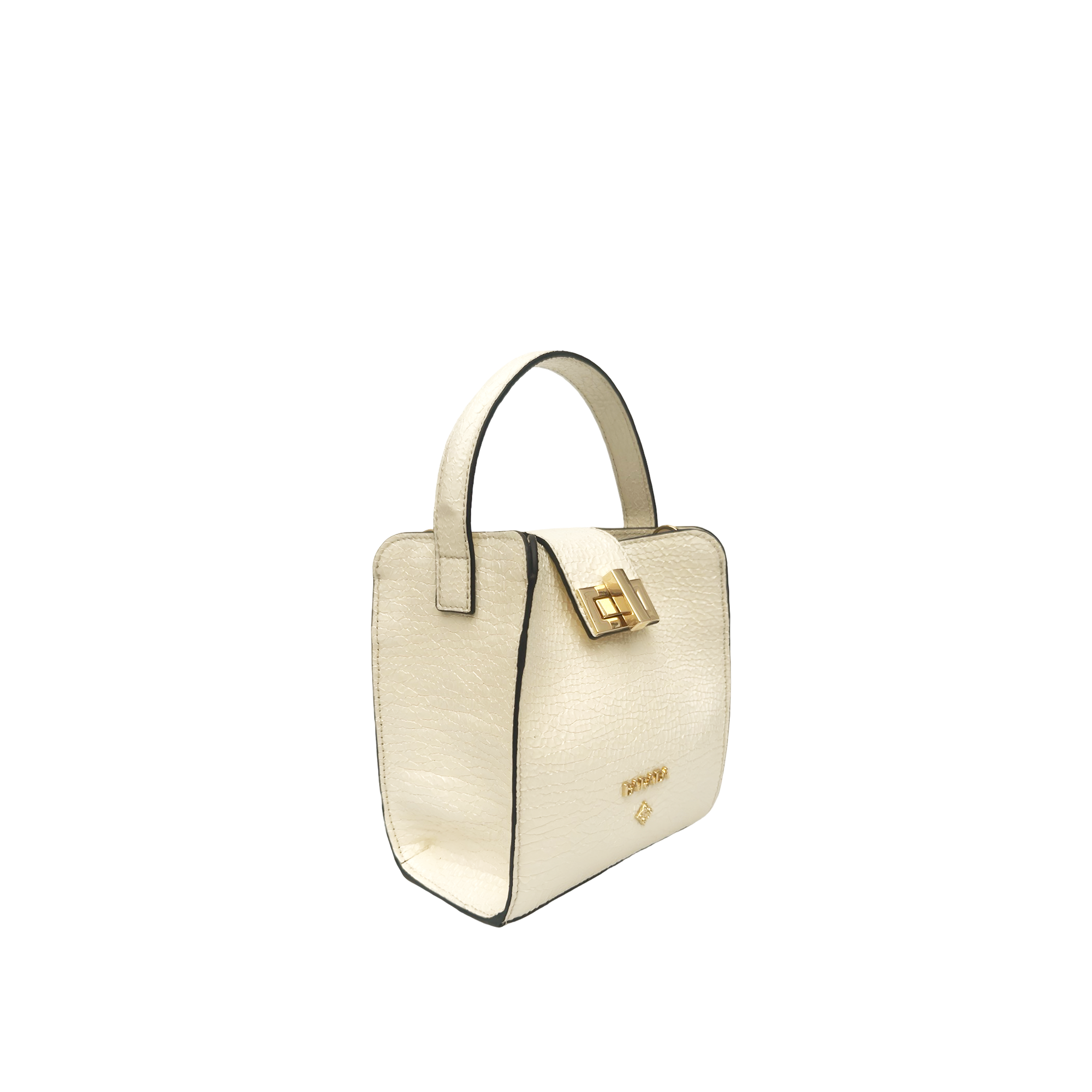 Mini Bag in goatskin with patent finish