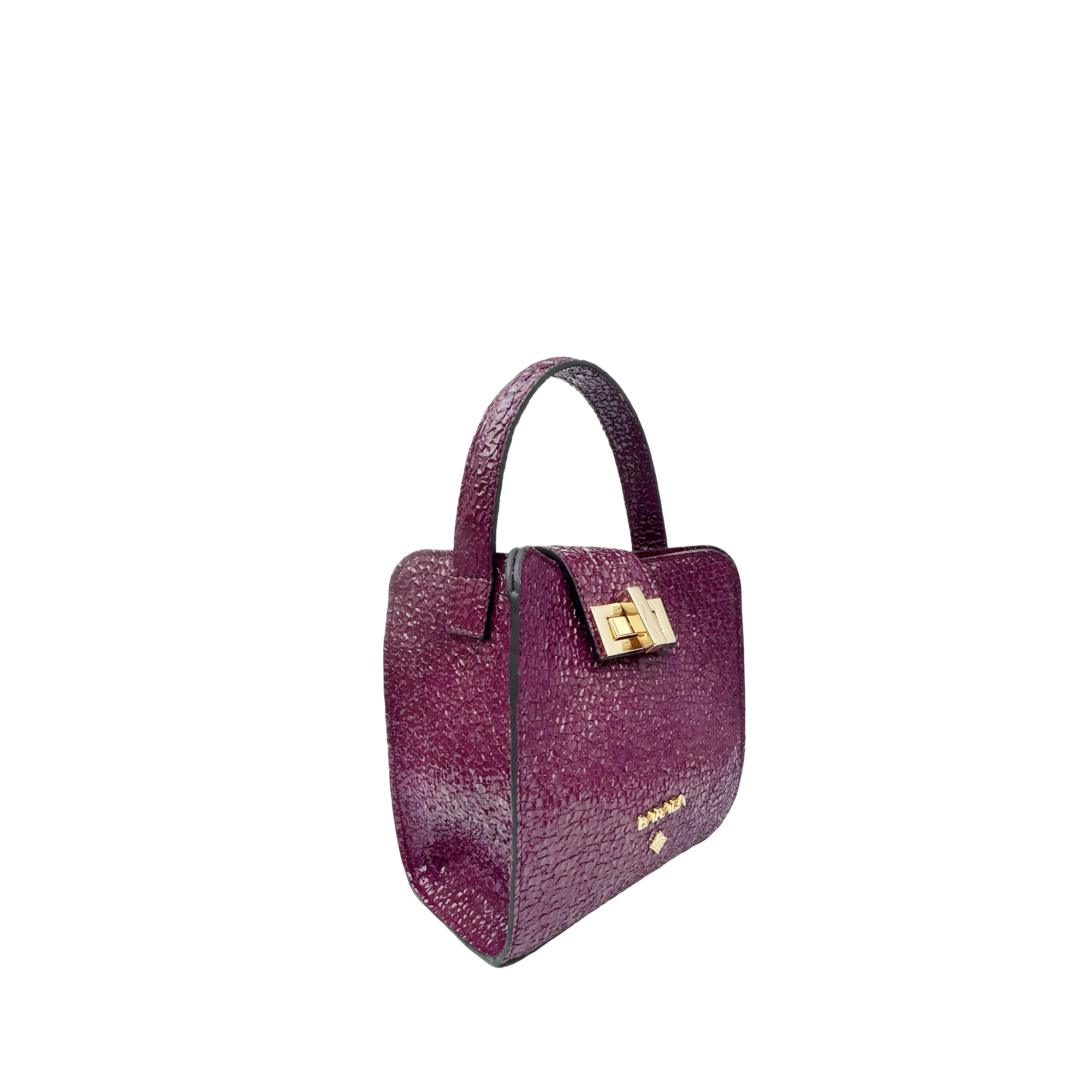 Mini Bag in goatskin with patent finish