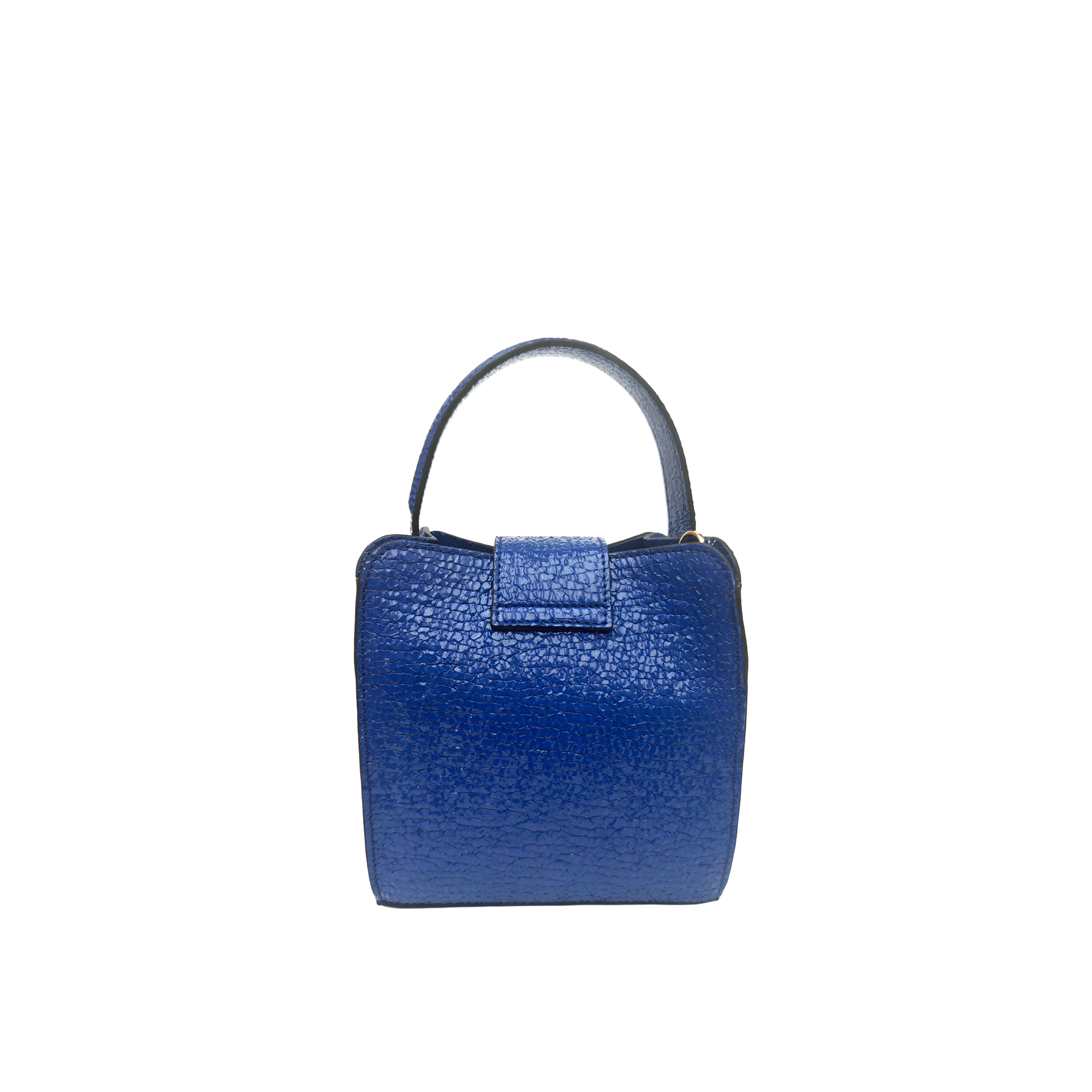 Mini Bag in goatskin with patent finish