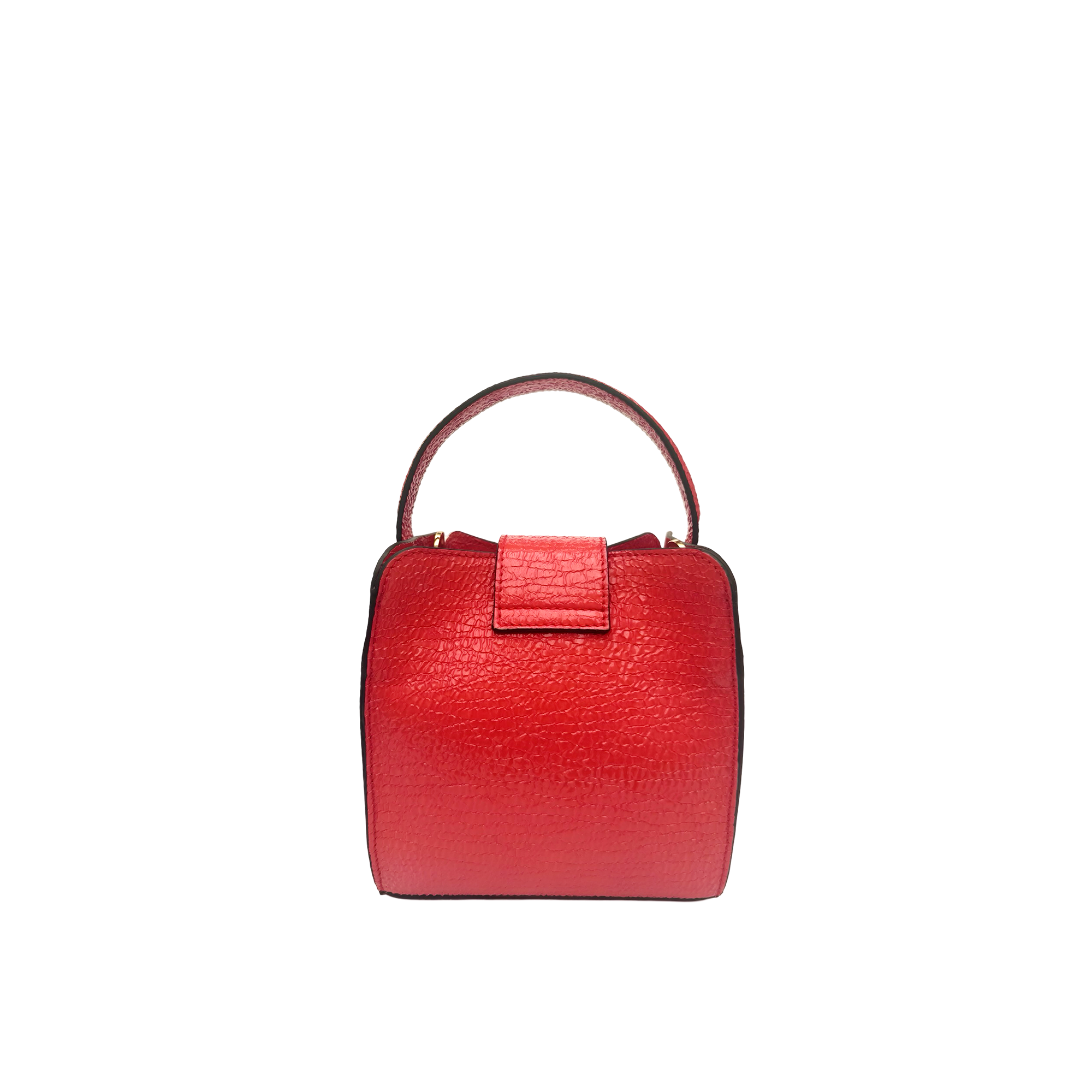 Mini Bag in goatskin with patent finish